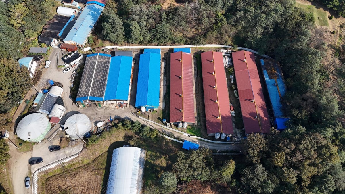 가설건축에 적합한 친환경 지붕재 사례 분석