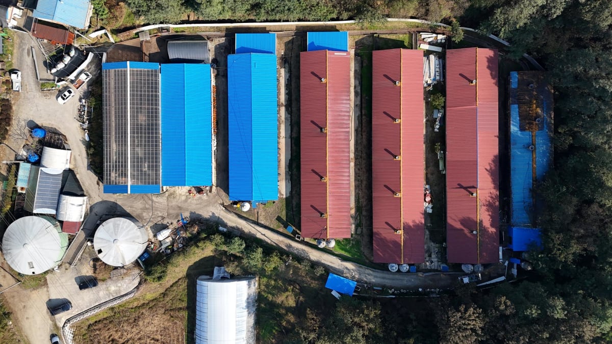 축사 누수 복사열 잡는 지붕 시공법 3단계 안내