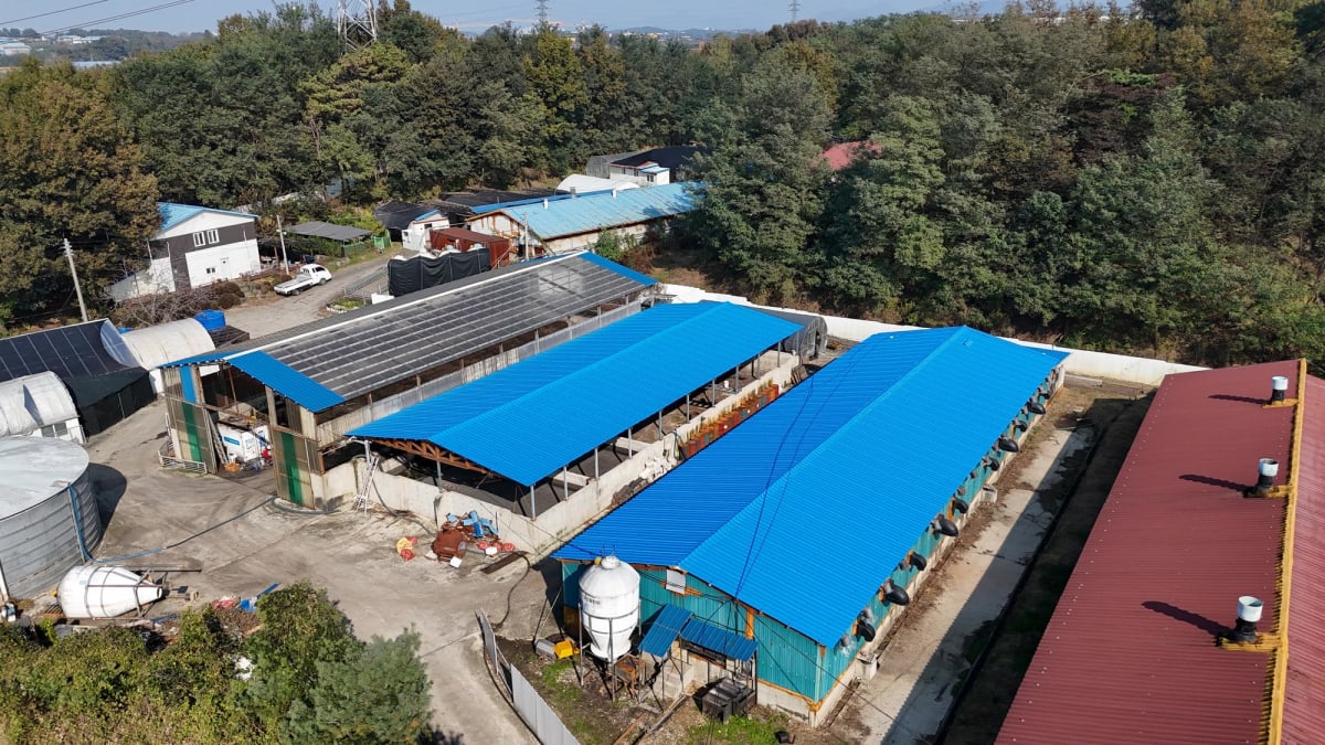 축사 가설건축 PVC 판넬 시공 전문가의 선택 이유와 궁금증 해소