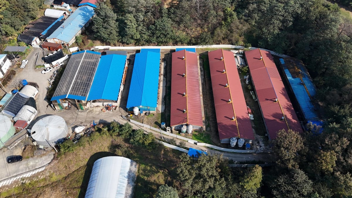 동물 복지 축사 자재 기준 (주)미건 특허 가설건축 PVC 판넬 기술 분석