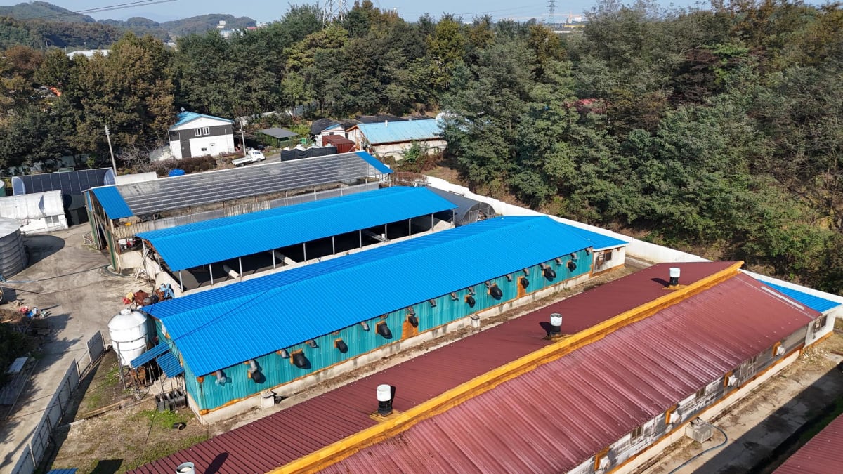 가설건축 조립식 판넬(뉴세라) 지붕재 자주 묻는 7가지 질문과 답변