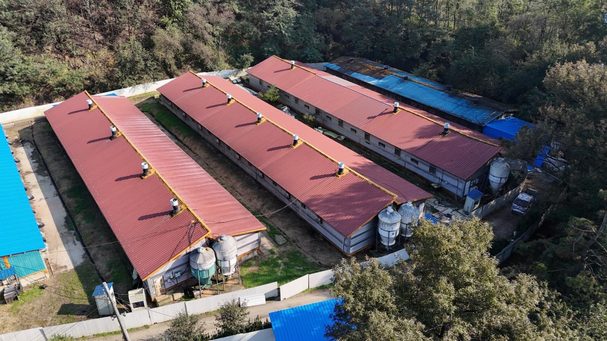 가설건축 조립식 판넬(뉴세라) 특허 기술 기존 합성수지 지붕재 한계 극복 심층 분석