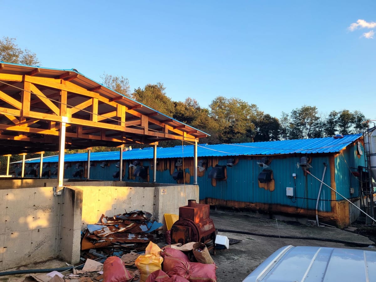 오래된 지붕 가설건축 조립식 판넬(뉴세라)로 새롭게 태어난 현장 이야기