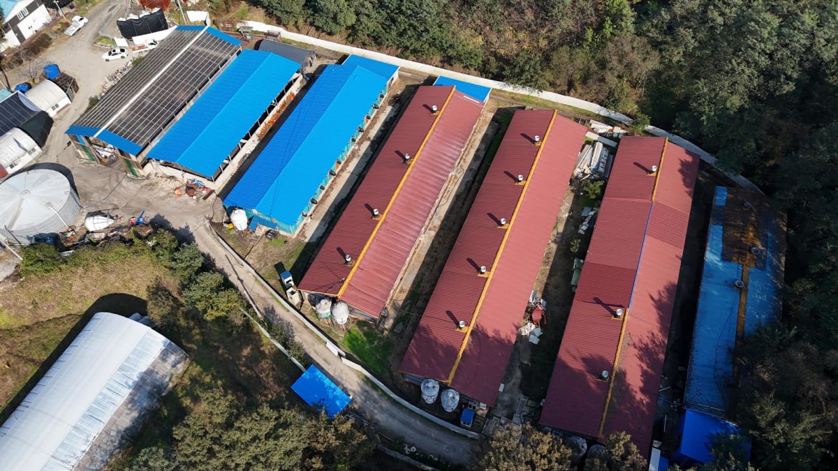 여름 복사열누수 문제 가설건축 PVC 판넬(특허)로 완벽 해결